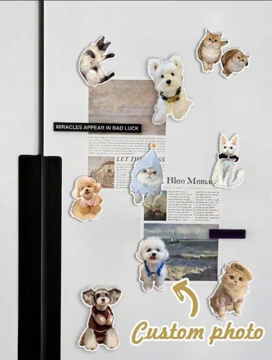 1pc Customized Pet Photo Acrylic Fridge Magnet