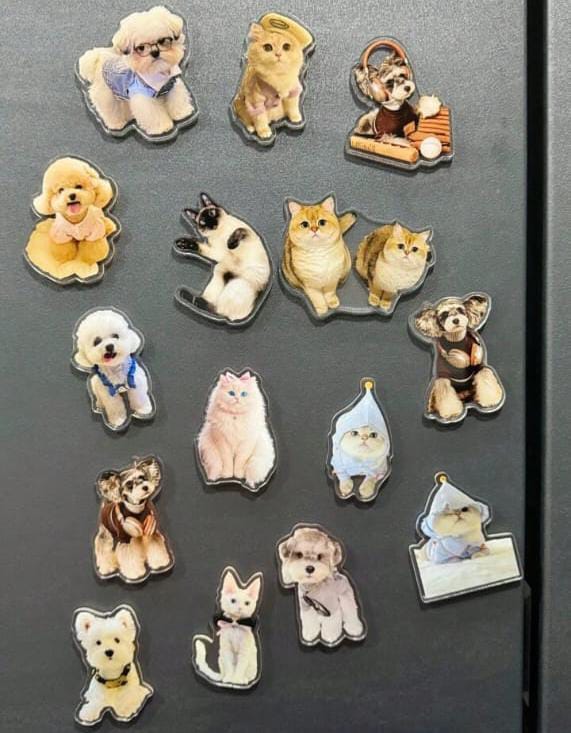 1pc Customized Pet Photo Acrylic Fridge Magnet